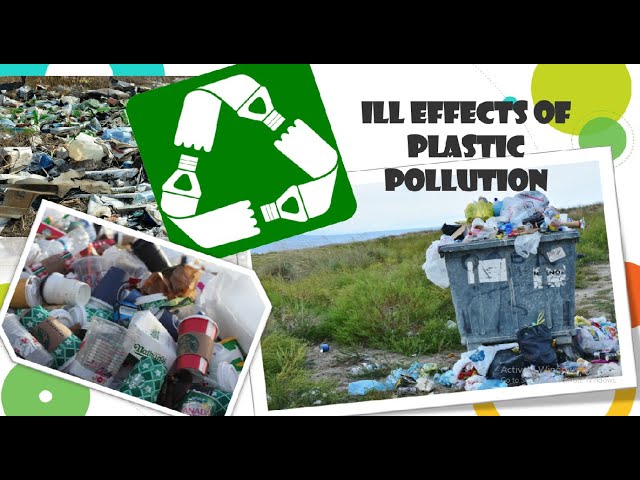 Plastic pollution...