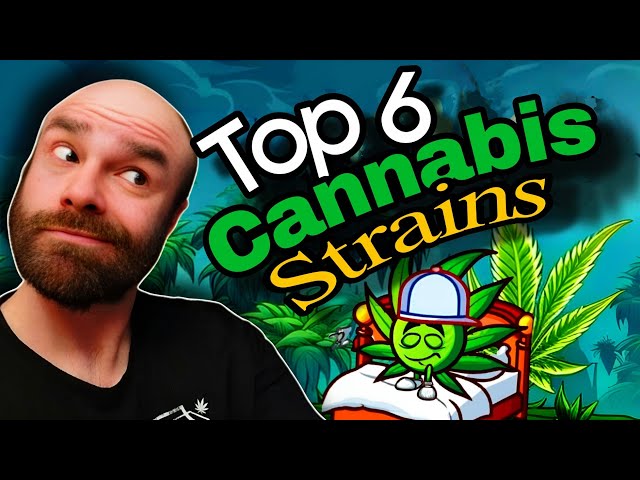 Top 6 BEST Cannabis Strains for Sleep