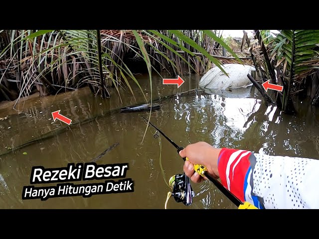 Spot Mancing Gokil -- Mulai Ikan Kakap Besar Sampai Monster Non Target Naik Semua