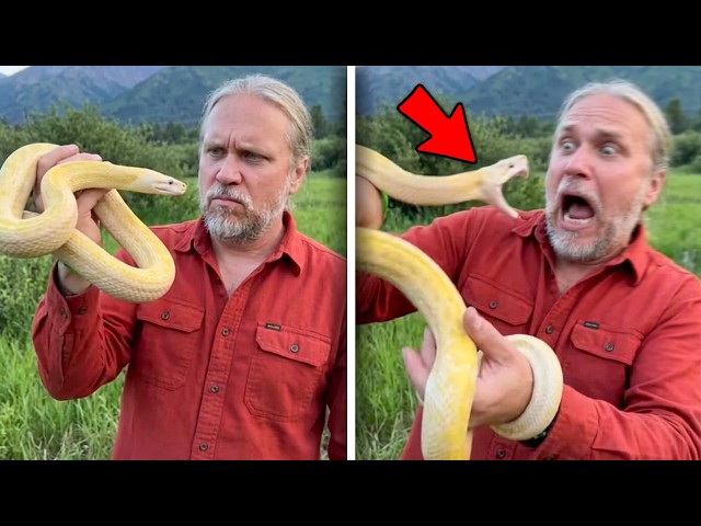 When Snake Handlers Get Fatally Bitten By Their Animals!