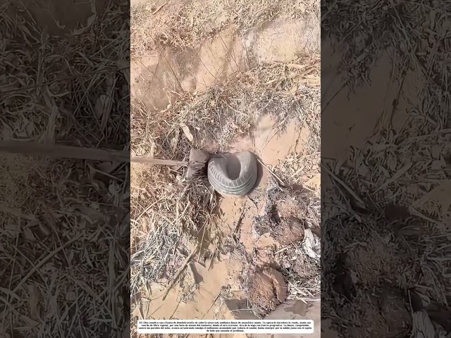 Desatascar con goma: La llanta vieja que viaja por el tubo y arrastra lo que lo obstruye
