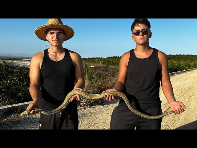 The day I caught the biggest snake in Spain