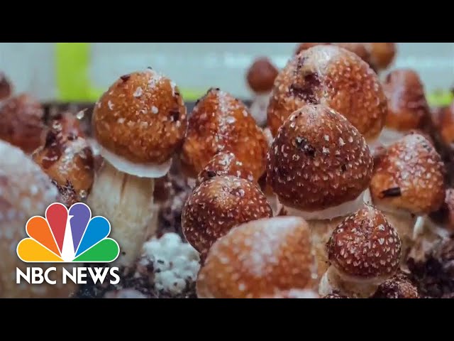 Some moms practice micro-dosing mushrooms for anxiety and depression 
