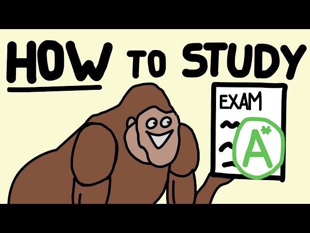 How to Learn More in 2 Hours Than Most Do in a Full Day