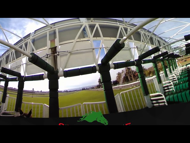 Steriline   360 Training start VR