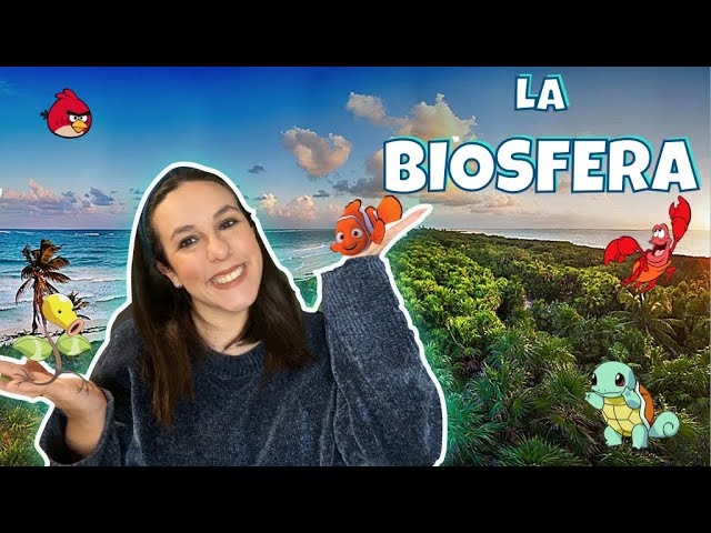 La BIOSFERA - ¿De qué estamos compuestos?. Las funciones vitales. 1º ESO