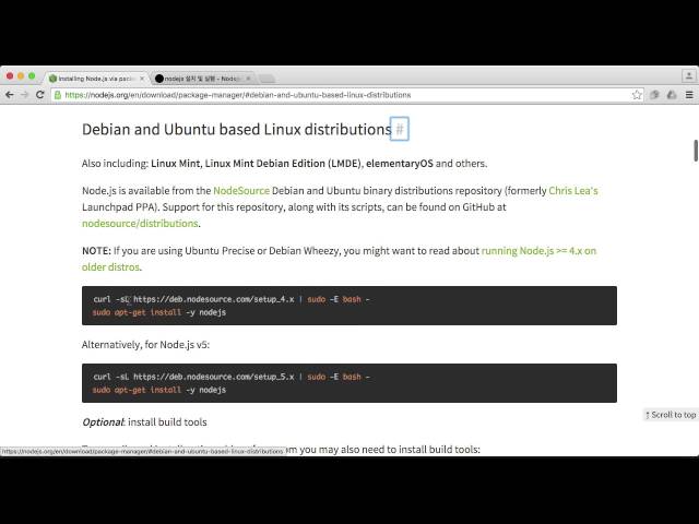 서버 측 JS : 설치