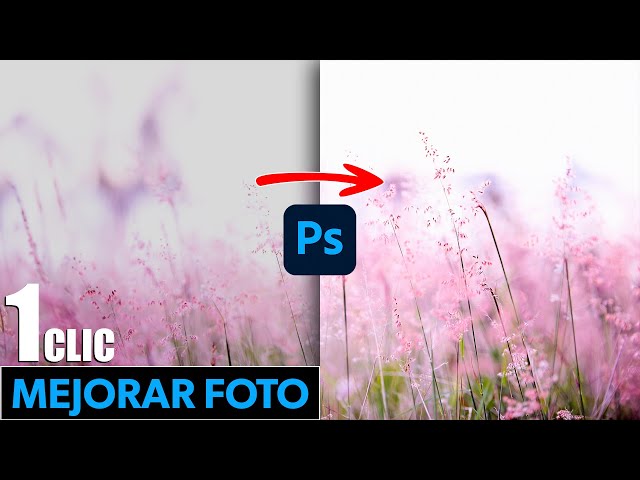¡TRUCO! Mejora tus fotografías con Photoshop en 1 CLIC