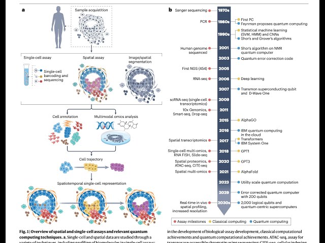 Quantum Computing for Single Cell Biology