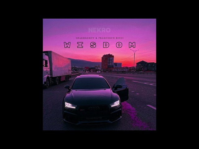 Wisdom - Francesco Ricci & Shakhbanov (slowed)