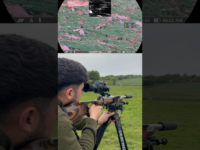 The Silent Assassin: .22LR Rabbit Hunting Using Subsonics