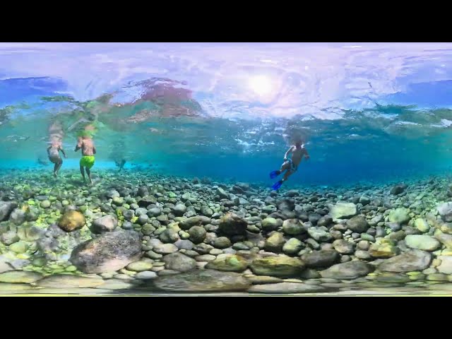 I Turned Around Underwater… and the View Was Better Behind Me | 360° Mediterranean 8K