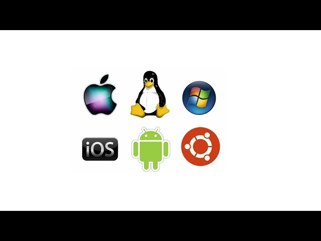 The operating system