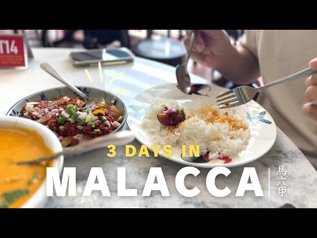 The Best Nyonya restaurant 🇲🇾, 3 Days in Melaka, Cafe, Craft shop, Portuguese town