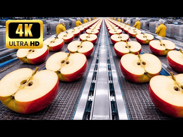 How Are Apples Processed in a Modern Factory? The Shocking Truth! (Full Process)