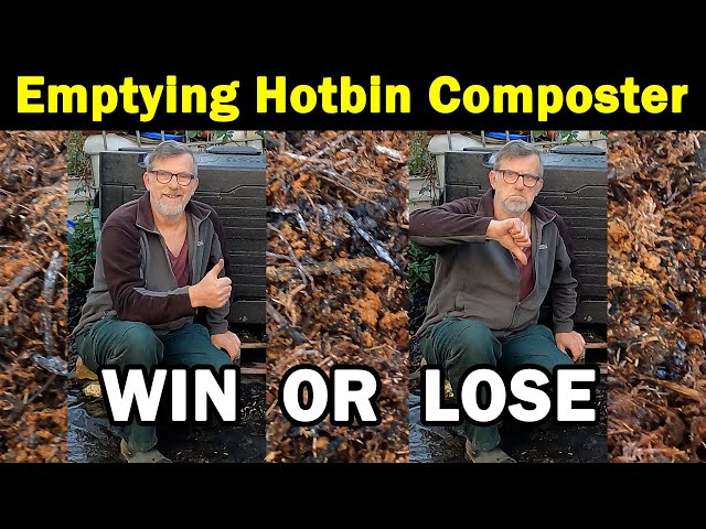 Emptying Hotbin Composter | Is it ready? | Win or Lose | Green Side Up