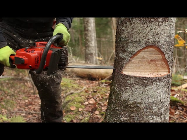 Bore Cut