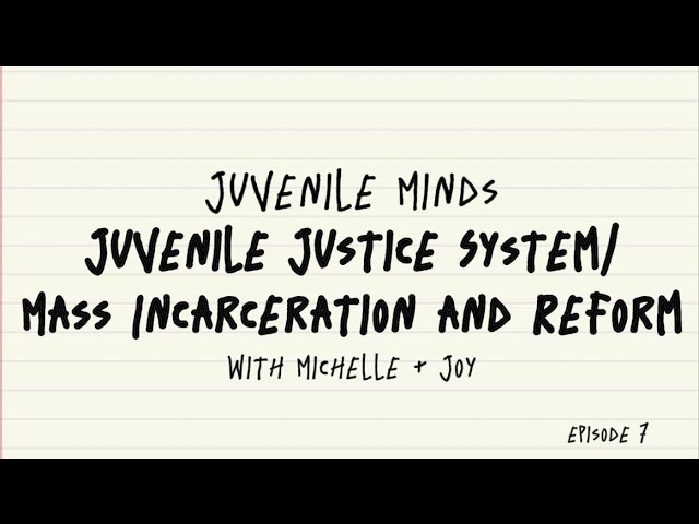 Episode 7 | Juvenile Justice System and Reform + Mass Incarceration and Prison Reform