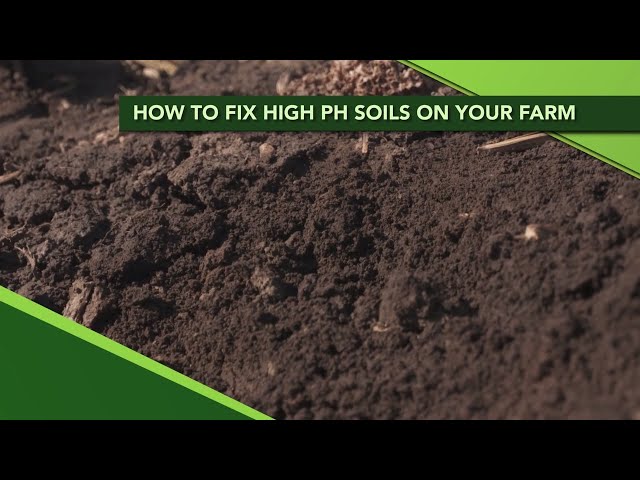 How to fix high pH soils on your farm (From Ag PhD Show #1115 - Air Date 8-18-19)