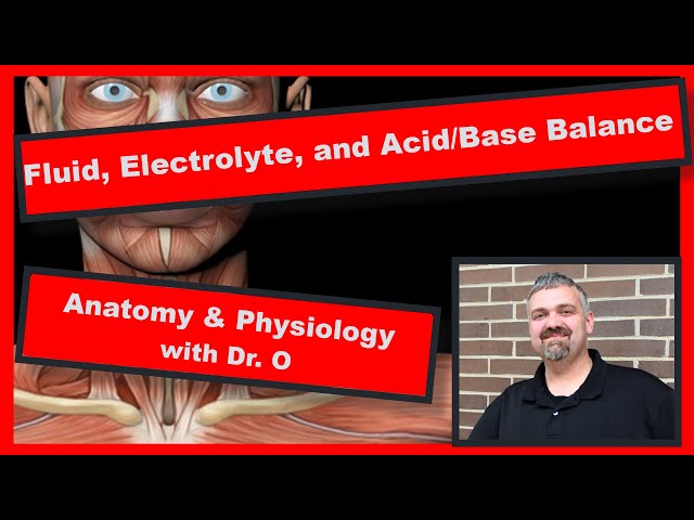 Fluid, Electrolyte, and Acid/Base Balance:  Anatomy and Physiology