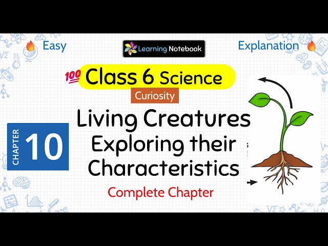Class 6 Living Creatures Exploring their Characteristics - Class 6 Science Curiosity Chapter 10