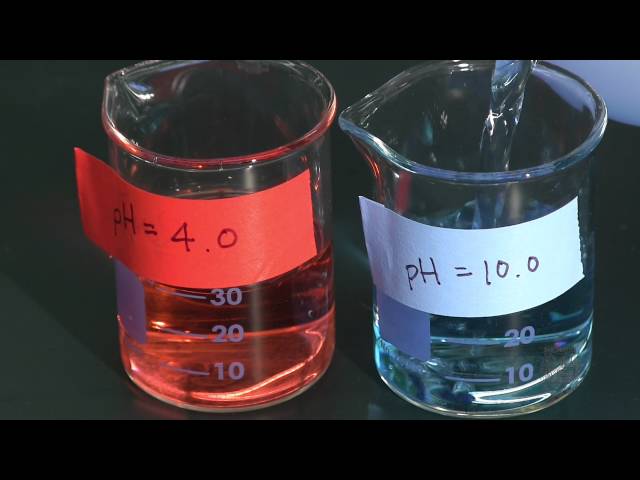 How to Standardize a pH Meter (HD 1080p)