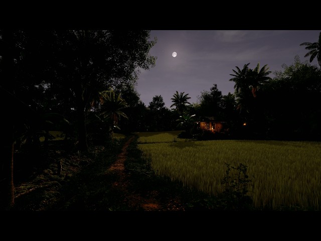 Paddy Fields Ambience | Tropical Summer Sounds ( Wind, Crickets, Cicadas, and Frogs) at Night