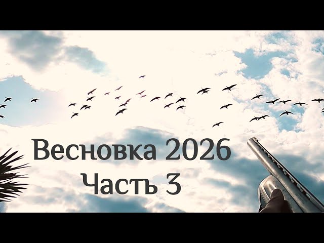 SPRING 2026 / PART 3 / GOOSE HUNTING / WE'VE AT LAST...