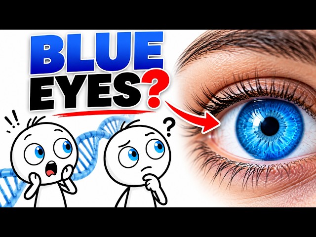 Why Do Humans Have Blue Eyes? The Ancient Genetic Mutation Explained