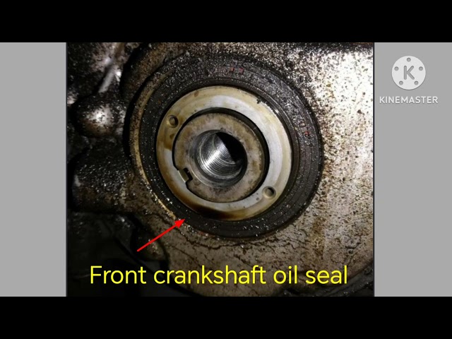 Leaking sa makina ito ang madalas na dahilan crankshaft oil seal. 