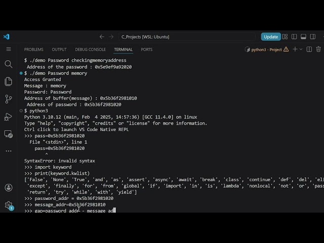 Buffer Overflow Vulnerability Analysis with C Programming Language 