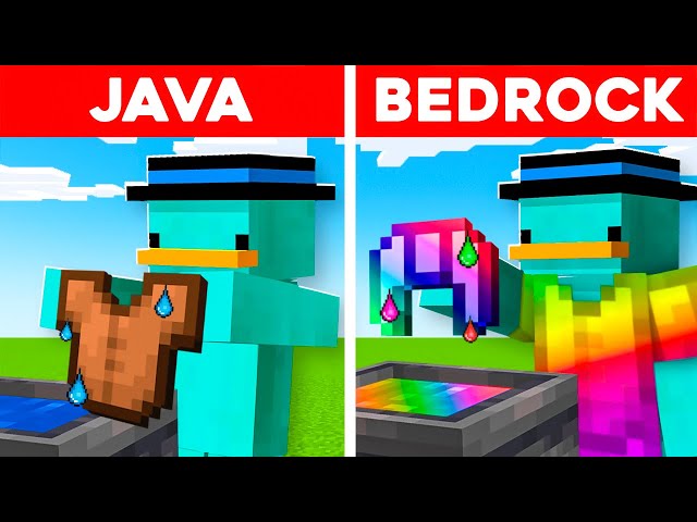 50 JAVA vs. BEDROCK Myths!