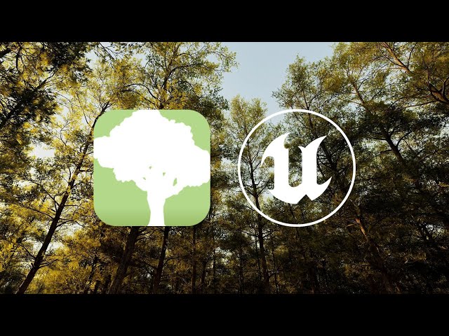 SpeedTree to Nanite foliage with Wind! Unreal Engine 5.7