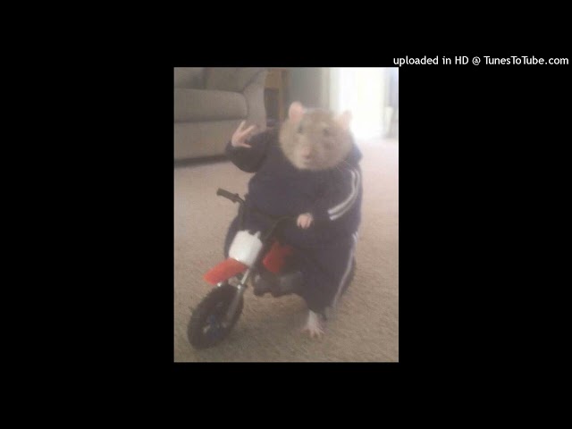 wat up ya'll
