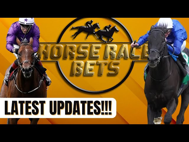BREEDERS CUP Turf, BC Mile & BC Filly & Mare Turf... Price picks & Full Race Analysis...