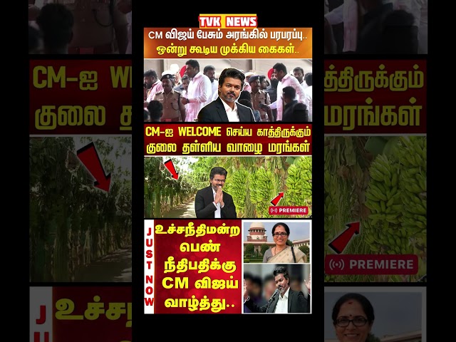 TVK Thalapathy vijay anna || #tvk#dmk#admk#congress#bjp#breakingnews#news#thalapathy#vijay