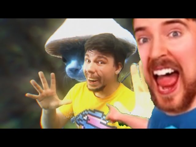 "We live, we love, we lie" Mr Beast extended