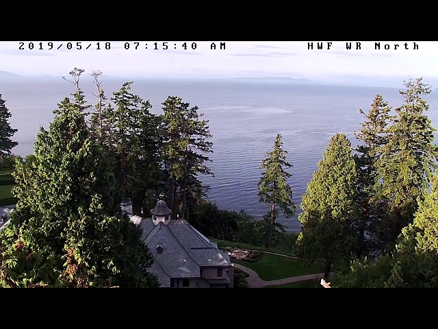 Hancock Wildlife Foundation Live Stream
