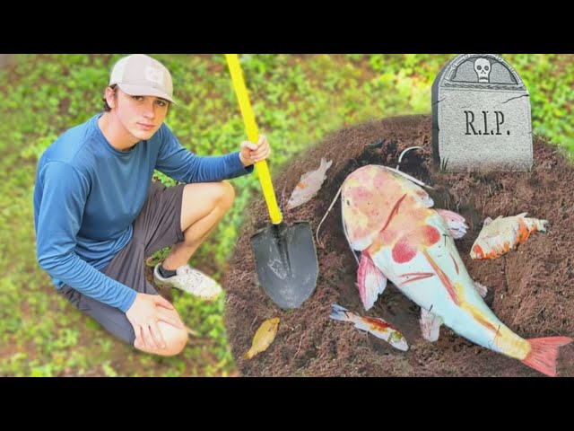 My Favorite Fish Died…