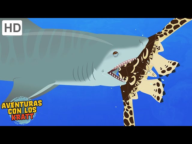 Aventuras Con Los Kratts | Puesta A Punto De Tortugas | Episodio Completo | Temporada 2