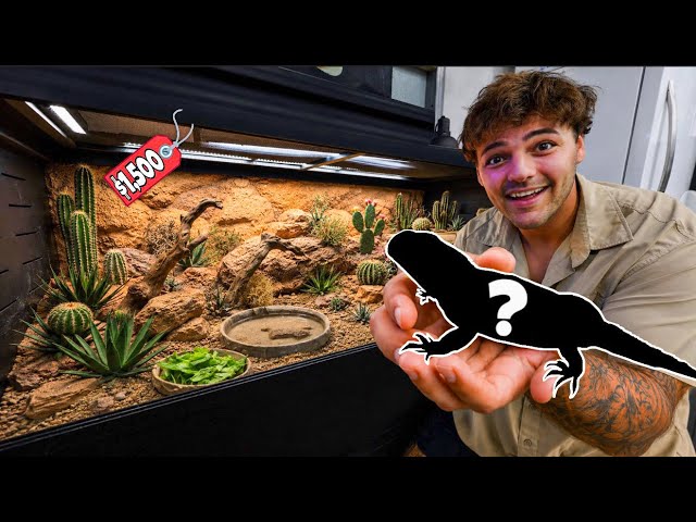 I Rescued a REPTILE and Built it a DREAM Enclosure!!