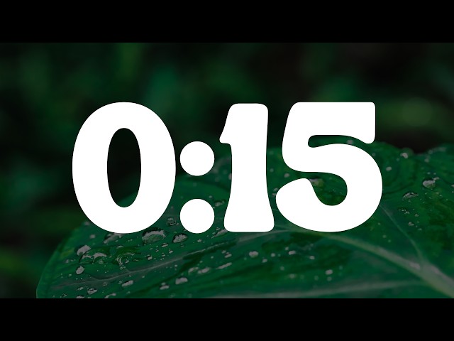 15 seconds countdown timer