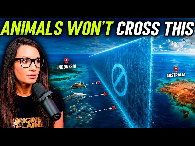 Why Animals Won’t Cross this Invisible Wall