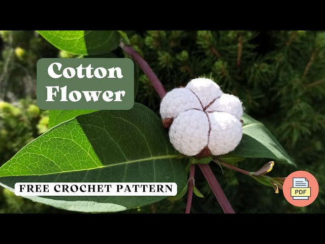 Crochet Cotton Flower Free Amigurumi Pattern | PDF Only