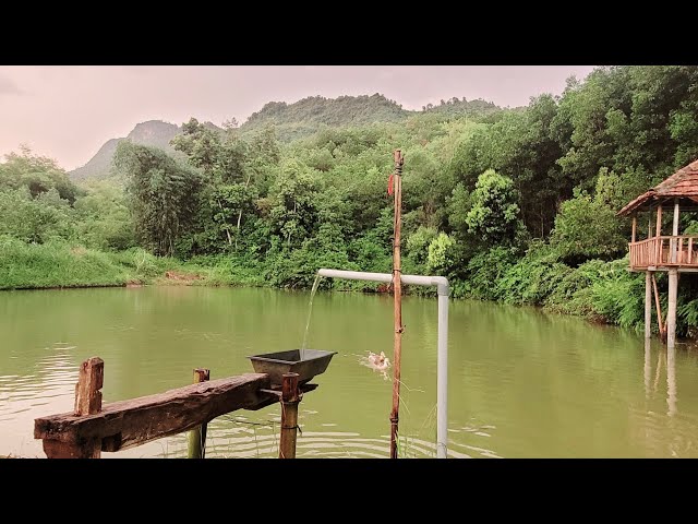 water Powered Pounder corn mill live