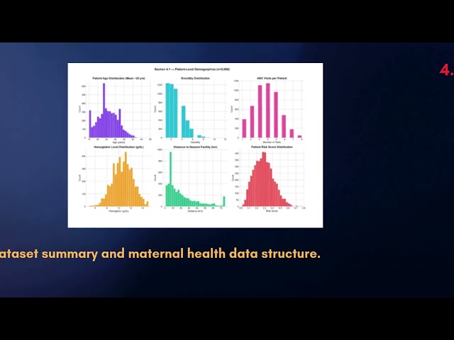 A Prescriptive Analytics Framework for Risk-Integrated Maternal Healthcare Resource