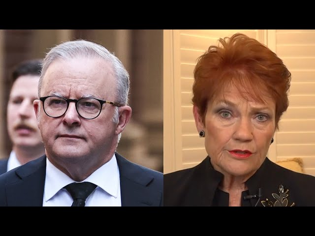 ‘Knows he’s in trouble’: Hanson claims Albanese will call early election