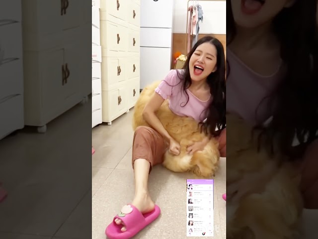 Animal #farming #doglover #farmanimalct #seotips #comedy #pets #seotutorial #cute #seoguide #puppy