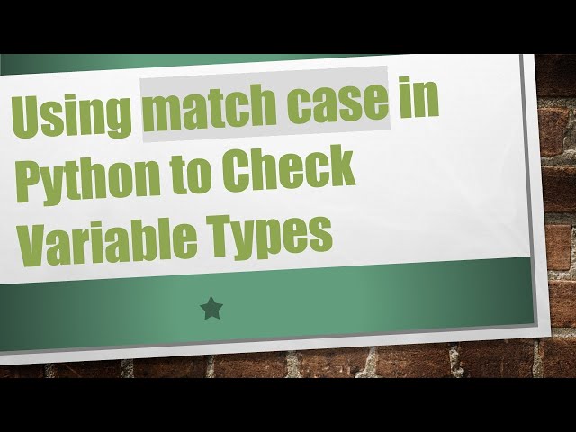 Using match case in Python to Check Variable Types