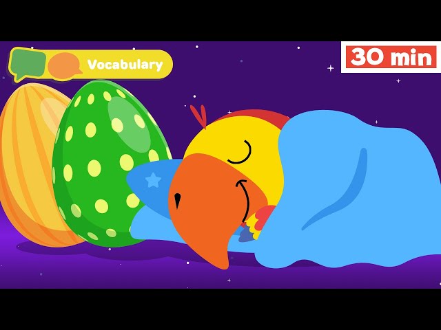 Learning First Words with Larry | Sensory Stimulation for Babies | Vocabulary for Kids | Vocabularry